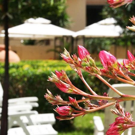 Solemare Accommodation Альгеро Екстер'єр фото